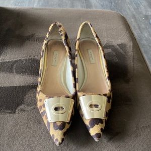 Coach ocelot kitten heals size 10